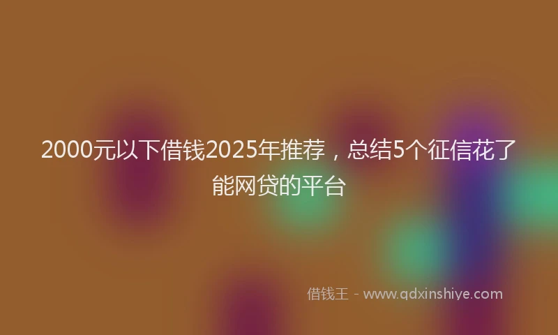 2000元以下借钱2025年推荐，总结5个征信花了能网贷的平台