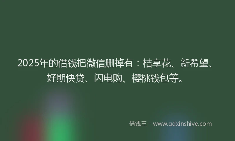 2025年的借钱把微信删掉有：桔享花、新希望、好期快贷、闪电购、樱桃钱包等。