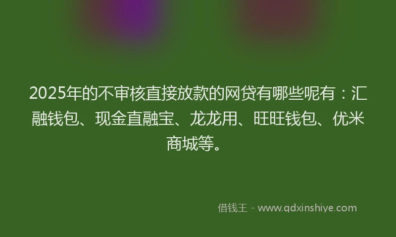 2025年的不审核直接放款的网贷有哪些呢有：汇融钱包、现金直融宝、龙龙用、旺旺钱包、优米商城等。