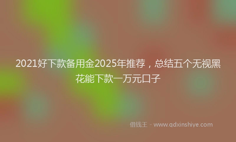 2021好下款备用金2025年推荐，总结五个无视黑花能下款一万元口子