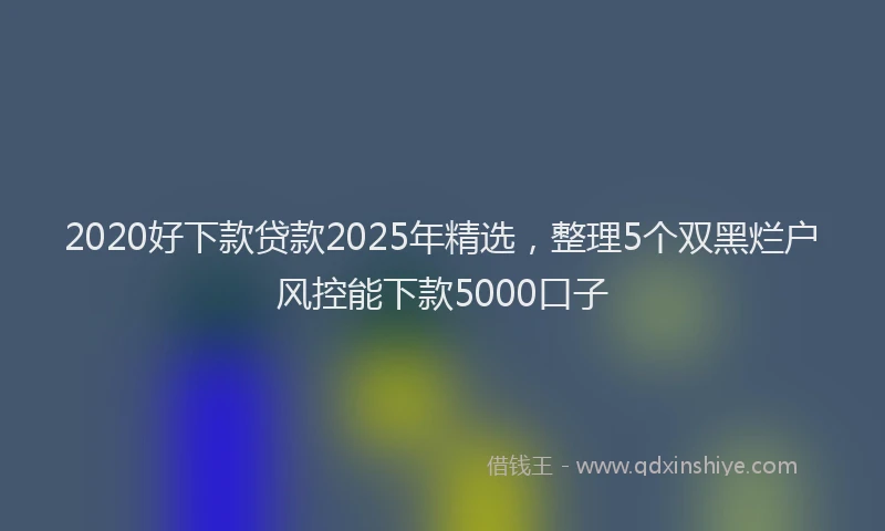 2020好下款贷款2025年精选，整理5个双黑烂户风控能下款5000口子