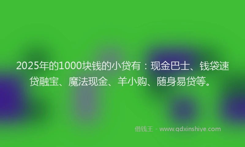 2025年的1000块钱的小贷有：现金巴士、钱袋速贷融宝、魔法现金、羊小购、随身易贷等。