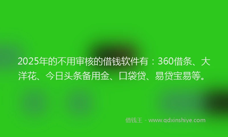 2025年的不用审核的借钱软件有：360借条、大洋花、今日头条备用金、口袋贷、易贷宝易等。