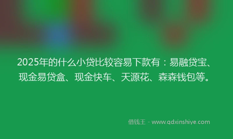 2025年的什么小贷比较容易下款有：易融贷宝、现金易贷盒、现金快车、天源花、森森钱包等。