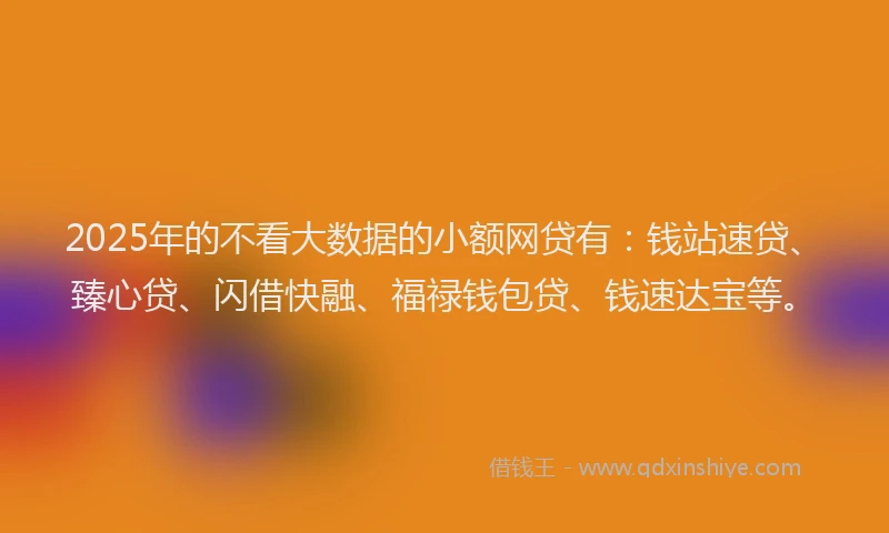 2025年的不看大数据的小额网贷有：钱站速贷、臻心贷、闪借快融、福禄钱包贷、钱速达宝等。