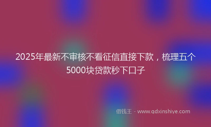 2025年最新不审核不看征信直接下款，梳理五个5000块贷款秒下口子