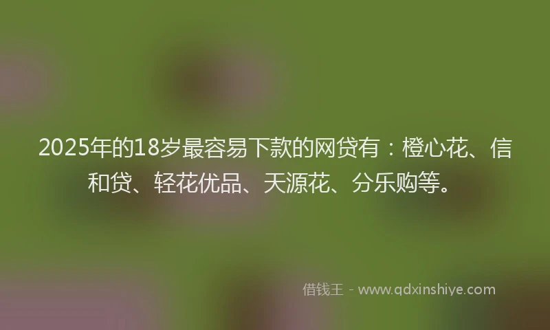 2025年的18岁最容易下款的网贷有：橙心花、信和贷、轻花优品、天源花、分乐购等。