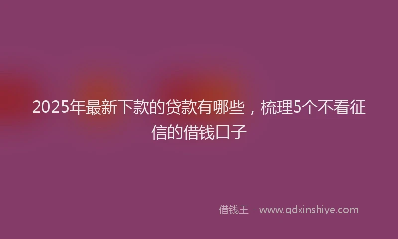 2025年最新下款的贷款有哪些，梳理5个不看征信的借钱口子