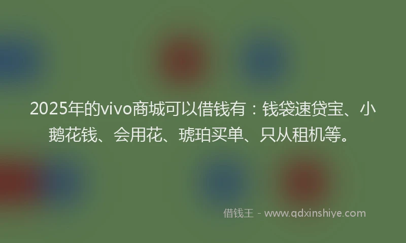 2025年的vivo商城可以借钱有：钱袋速贷宝、小鹅花钱、会用花、琥珀买单、只从租机等。