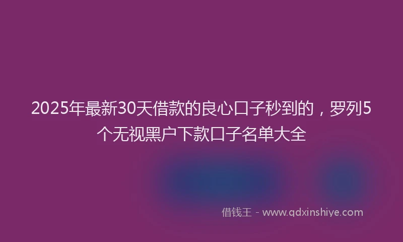 2025年最新30天借款的良心口子秒到的，罗列5个无视黑户下款口子名单大全