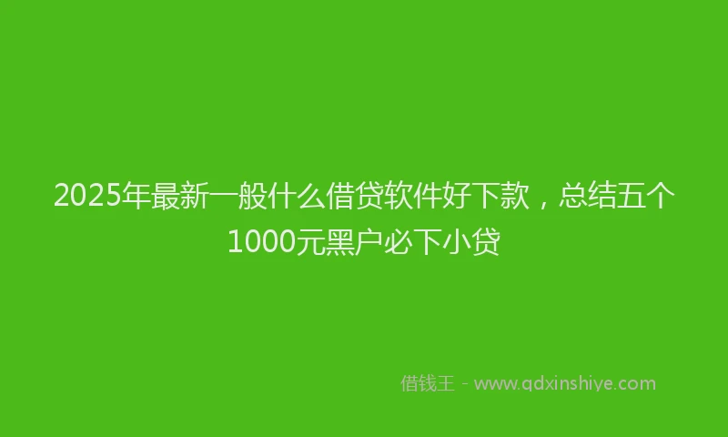 2025年最新一般什么借贷软件好下款，总结五个1000元黑户必下小贷