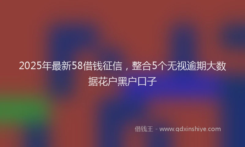 2025年最新58借钱征信，整合5个无视逾期大数据花户黑户口子