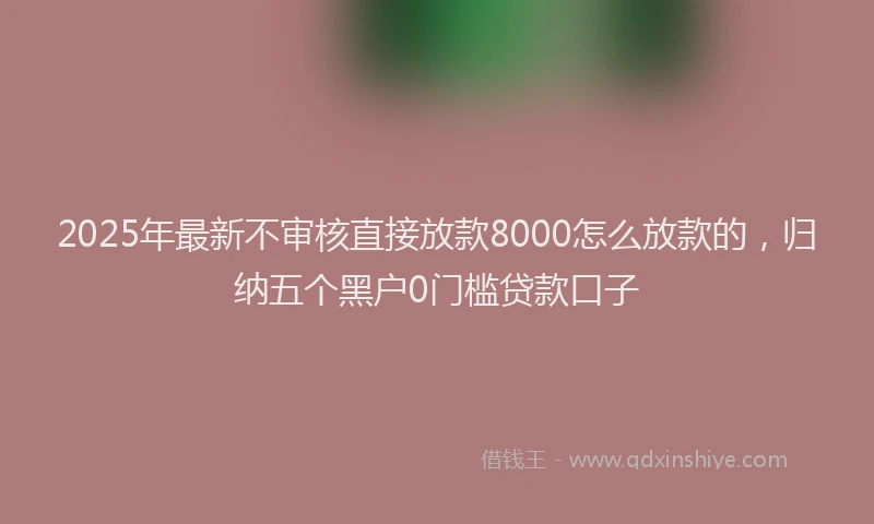 2025年最新不审核直接放款8000怎么放款的，归纳五个黑户0门槛贷款口子