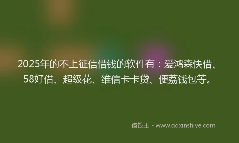 2025年的不上征信借钱的软件有：爱鸿森快借、58好借、超级花、维信卡卡贷、便荔钱包等。