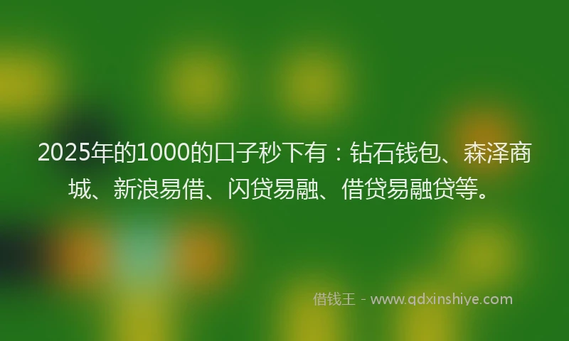 2025年的1000的口子秒下有：钻石钱包、森泽商城、新浪易借、闪贷易融、借贷易融贷等。