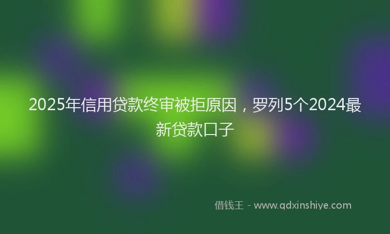 2025年信用贷款终审被拒原因，罗列5个2024最新贷款口子