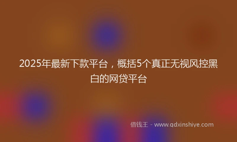 2025年最新下款平台，概括5个真正无视风控黑白的网贷平台