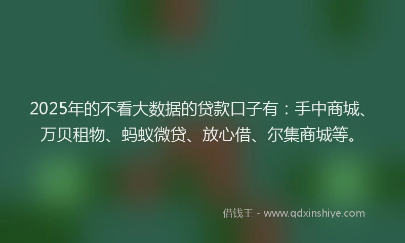 2025年的不看大数据的贷款口子有：手中商城、万贝租物、蚂蚁微贷、放心借、尔集商城等。