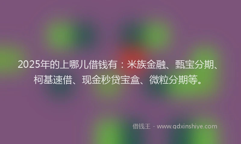 2025年的上哪儿借钱有：米族金融、甄宝分期、柯基速借、现金秒贷宝盒、微粒分期等。