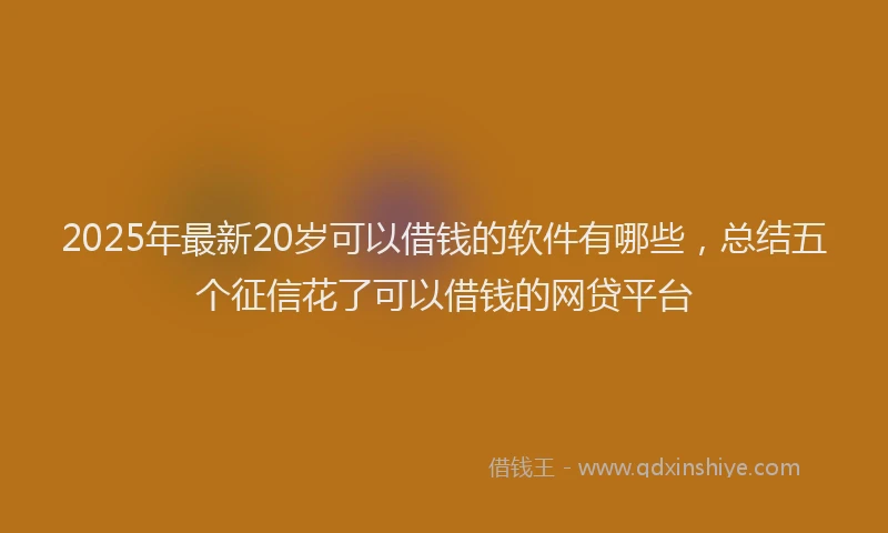 2025年最新20岁可以借钱的软件有哪些，总结五个征信花了可以借钱的网贷平台