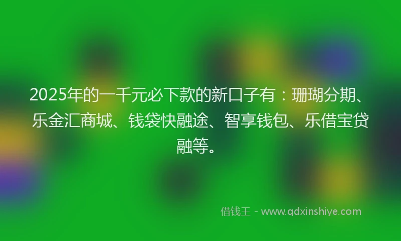 2025年的一千元必下款的新口子有：珊瑚分期、乐金汇商城、钱袋快融途、智享钱包、乐借宝贷融等。