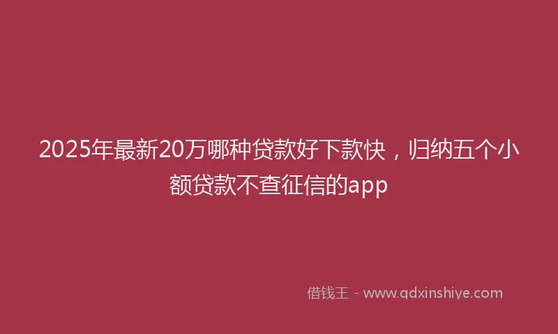 2025年最新20万哪种贷款好下款快，归纳五个小额贷款不查征信的app