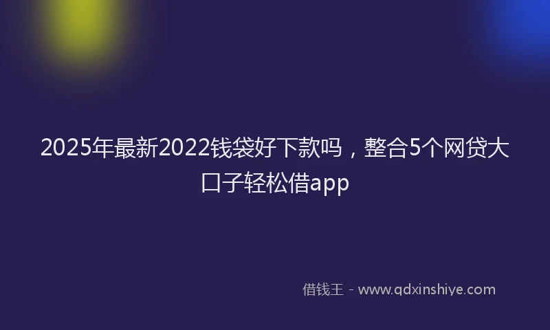 2025年最新2022钱袋好下款吗，整合5个网贷大口子轻松借app