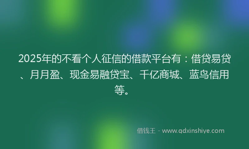 2025年的不看个人征信的借款平台有：借贷易贷、月月盈、现金易融贷宝、千亿商城、蓝鸟信用等。