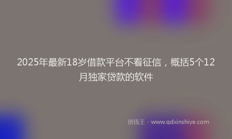 2025年最新18岁借款平台不看征信，概括5个12月独家贷款的软件