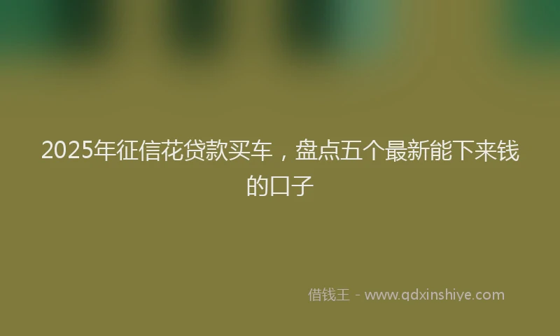 2025年征信花贷款买车，盘点五个最新能下来钱的口子