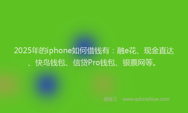 2025年的iphone如何借钱有：融e花、现金直达、快鸟钱包、信贷Pro钱包、银票网等。