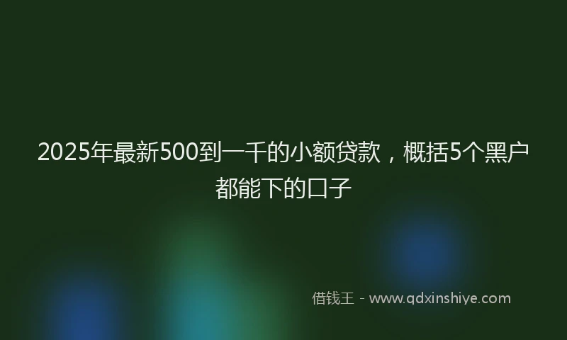 2025年最新500到一千的小额贷款，概括5个黑户都能下的口子