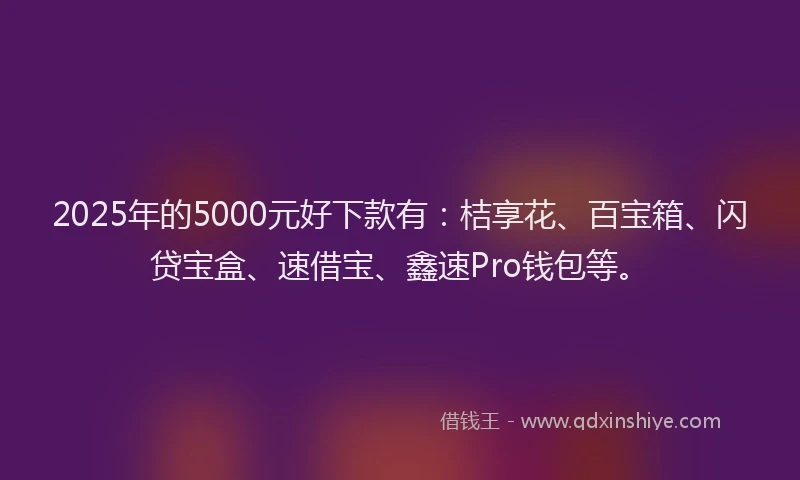 2025年的5000元好下款有：桔享花、百宝箱、闪贷宝盒、速借宝、鑫速Pro钱包等。