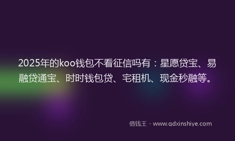 2025年的koo钱包不看征信吗有：星愿贷宝、易融贷通宝、时时钱包贷、宅租机、现金秒融等。