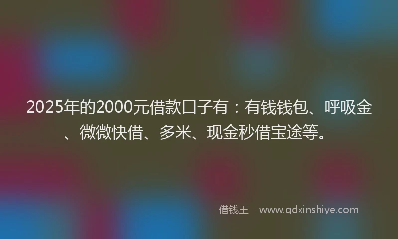 2025年的2000元借款口子有：有钱钱包、呼吸金、微微快借、多米、现金秒借宝途等。