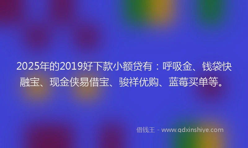 2025年的2019好下款小额贷有：呼吸金、钱袋快融宝、现金侠易借宝、骏祥优购、蓝莓买单等。