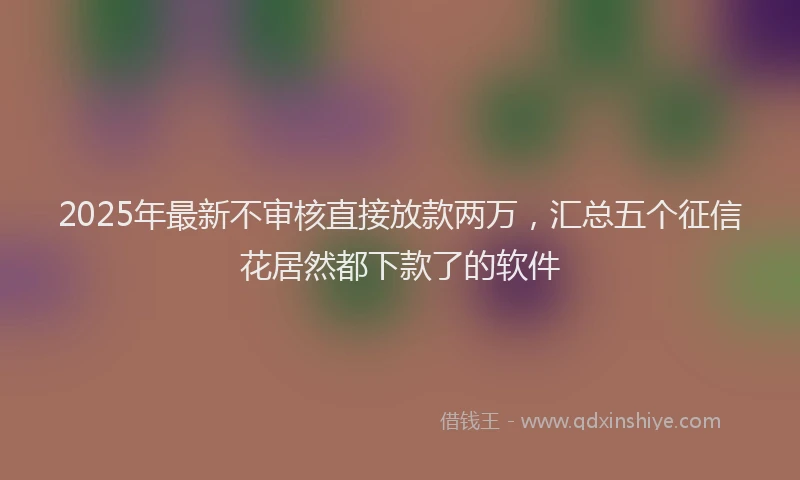 2025年最新不审核直接放款两万，汇总五个征信花居然都下款了的软件