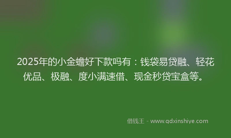 2025年的小金蟾好下款吗有：钱袋易贷融、轻花优品、极融、度小满速借、现金秒贷宝盒等。