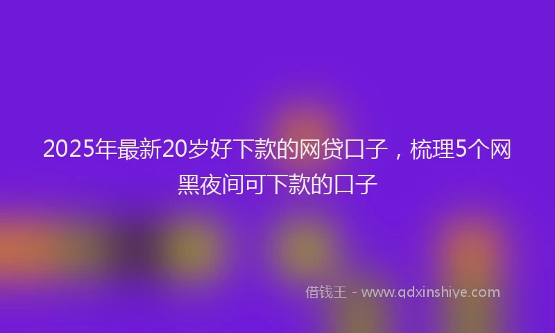 2025年最新20岁好下款的网贷口子，梳理5个网黑夜间可下款的口子