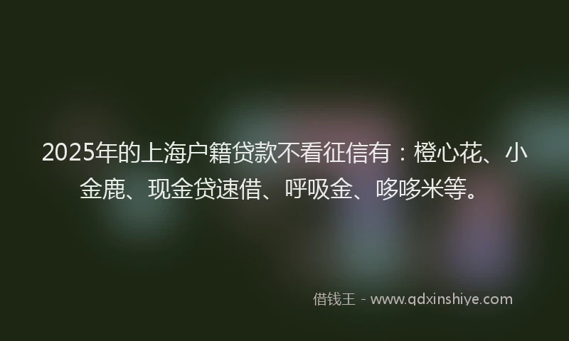 2025年的上海户籍贷款不看征信有：橙心花、小金鹿、现金贷速借、呼吸金、哆哆米等。