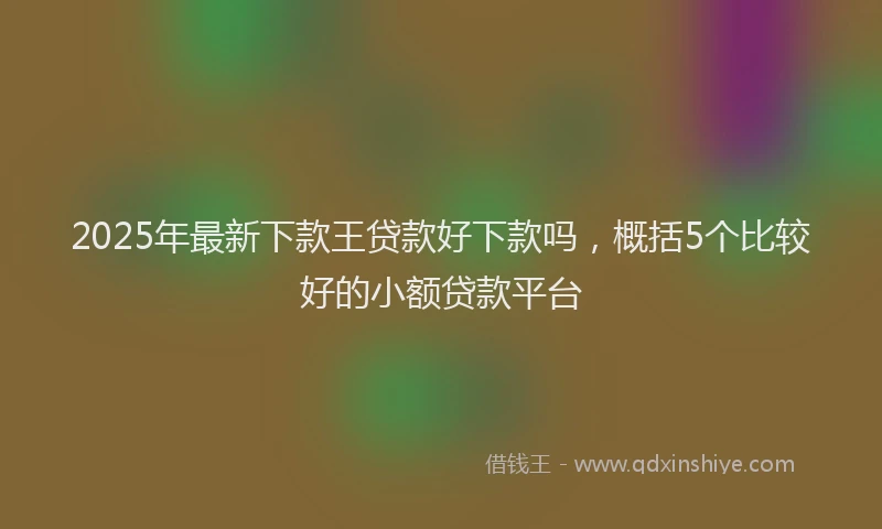 2025年最新下款王贷款好下款吗，概括5个比较好的小额贷款平台