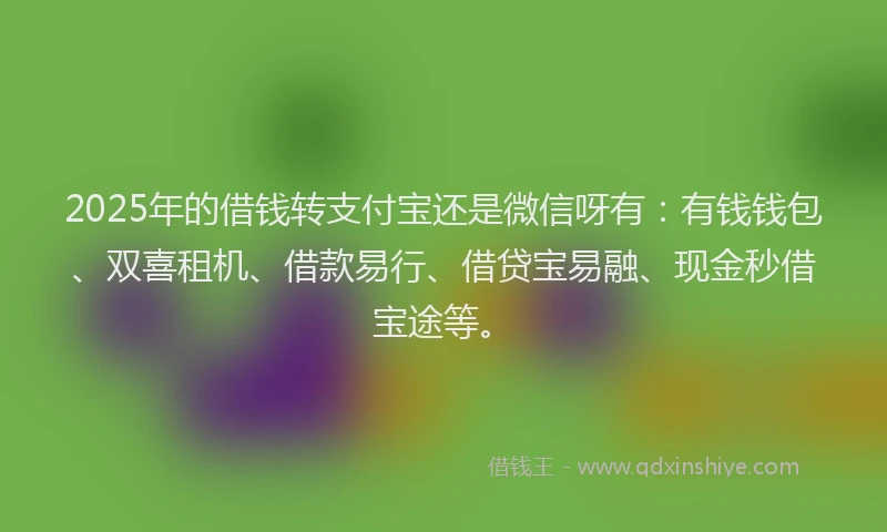 2025年的借钱转支付宝还是微信呀有：有钱钱包、双喜租机、借款易行、借贷宝易融、现金秒借宝途等。