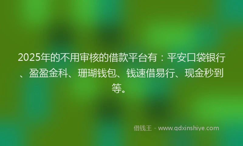 2025年的不用审核的借款平台有：平安口袋银行、盈盈金科、珊瑚钱包、钱速借易行、现金秒到等。