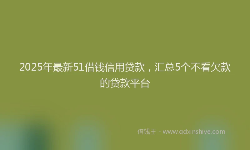 2025年最新51借钱信用贷款，汇总5个不看欠款的贷款平台
