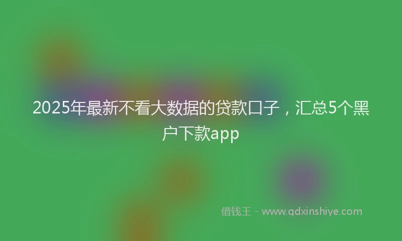 2025年最新不看大数据的贷款口子，汇总5个黑户下款app