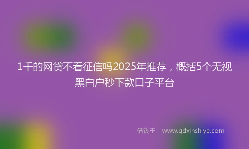 1千的网贷不看征信吗2025年推荐，概括5个无视黑白户秒下款口子平台