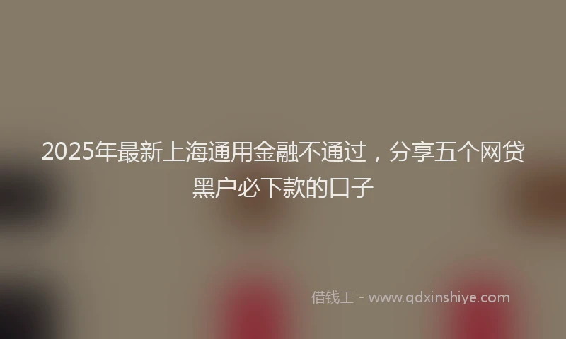 2025年最新上海通用金融不通过，分享五个网贷黑户必下款的口子