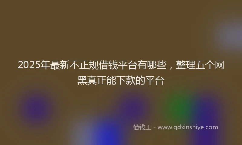 2025年最新不正规借钱平台有哪些，整理五个网黑真正能下款的平台