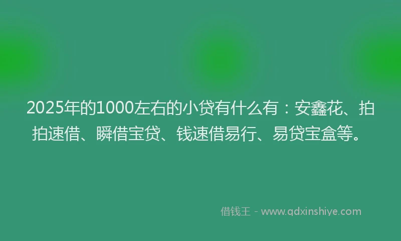 2025年的1000左右的小贷有什么有：安鑫花、拍拍速借、瞬借宝贷、钱速借易行、易贷宝盒等。