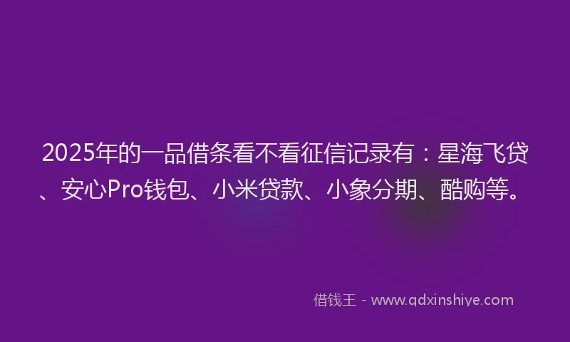 2025年的一品借条看不看征信记录有：星海飞贷、安心Pro钱包、小米贷款、小象分期、酷购等。